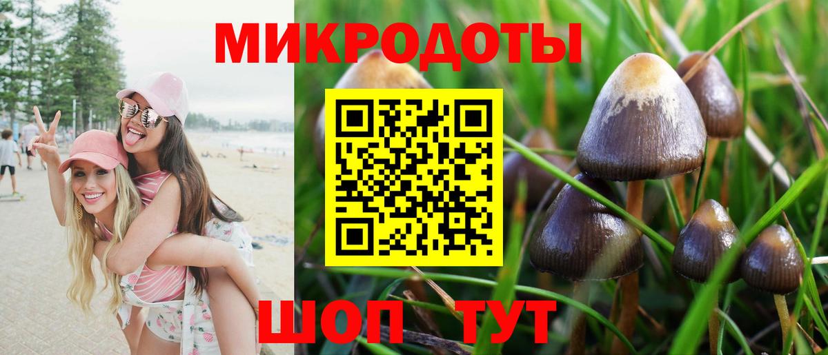 Галлюциногенные грибы Cubensis  Вход с VPN  Тольятти  Псилоцибиновые грибы Magic Shrooms 