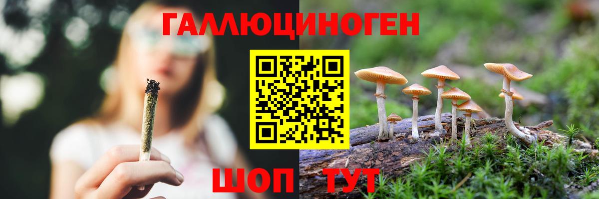 Псилоцибиновые грибы Magic Shrooms Тольятти